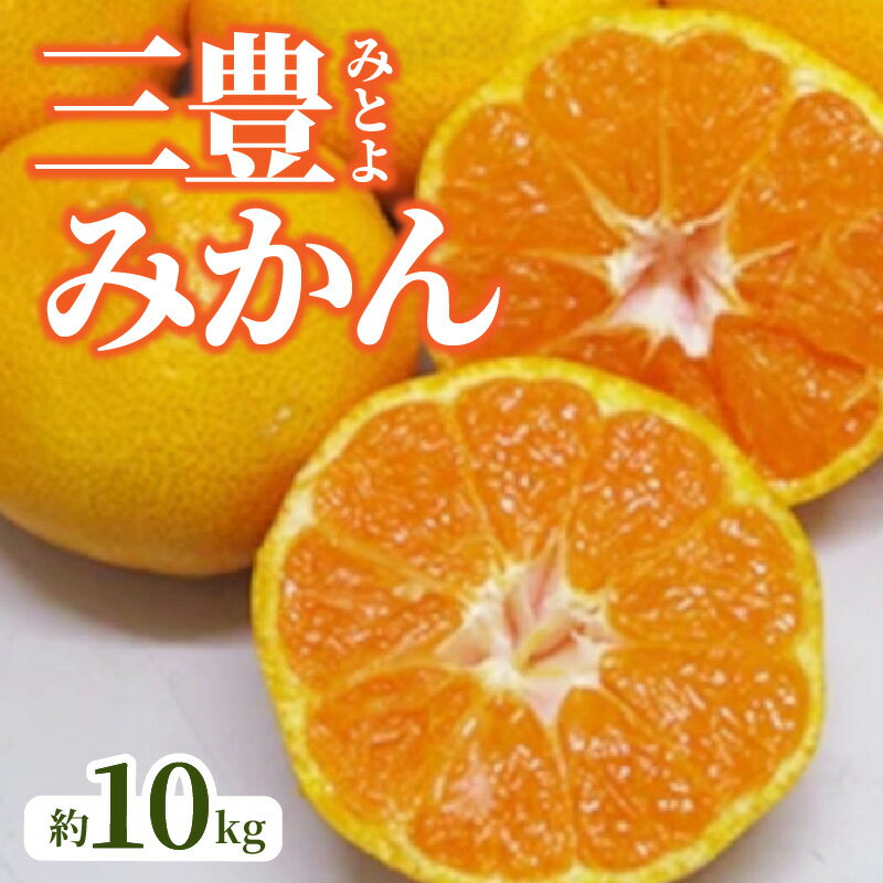 【ふるさと納税】【先行予約】 三豊 (みとよ) みかん 約 10kg 秋 旬 五色青果