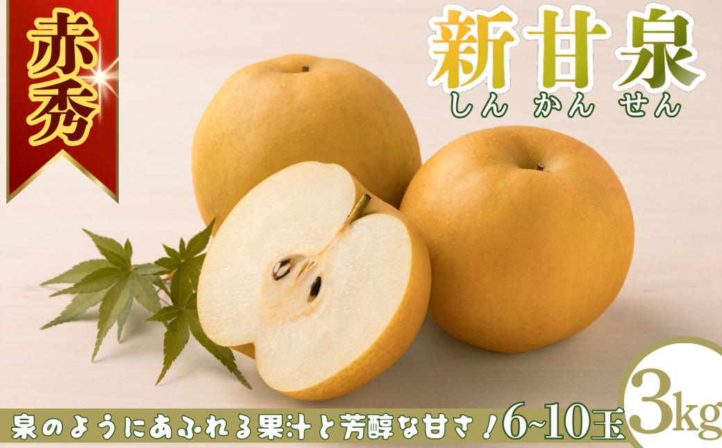 
                  新甘泉(赤秀) 3kg「Ys Farm Tottori」【梨 なし ナシ 果物 フルーツ ギフト 先行予約 甘い 果実 果汁 デザート もぎたて 旬】
                