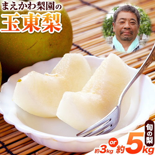 【ふるさと納税】まえかわ梨園の玉東梨 熊本県玉東町産約3kg（6-8玉前後）または 約5kg（6-16玉前後） 果物 スイーツ フルーツ 《8月中旬-9月下旬頃出荷》