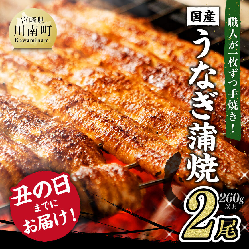【ふるさと納税】※レビューキャンペーン※ 【丑の日 までにお届け！】 ひむか 山道うなぎ 蒲焼 2尾分 (260g以上) - 国産 うなぎ 鰻 宮崎県産 川南町産 冷凍 ふるさと納税 ウナギ 送料無料 C08401