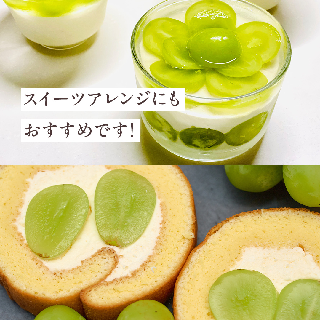 【2026年9月より発送開始】【 訳あり 】 シャインマスカット 4房相当（約1.6kg）  田舎の頑固おやじが厳選！（茨城県共通返礼品 [ぶどう]：結城市産） 果物 フルーツ 不揃い わけあり 家庭