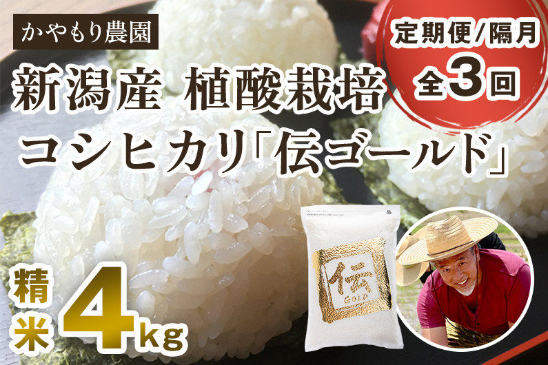 新潟産コシヒカリ「伝ゴールド」白米真空パック 精米 2kg×2袋