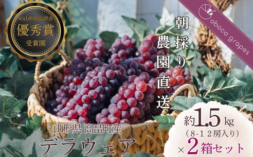 ≪2025年先行予約≫贈答用 山形県 高畠町産 朝取り 農園直送 デラウェア 約3.0kg（16～24房）個包装 2025年8月上旬から順次発送 個別包装 種無し 食べやすい ぶどう ブドウ 葡萄 くだもの 果物 フルーツ 夏果実 産地直送 農家直送 数量限定  F21B-310