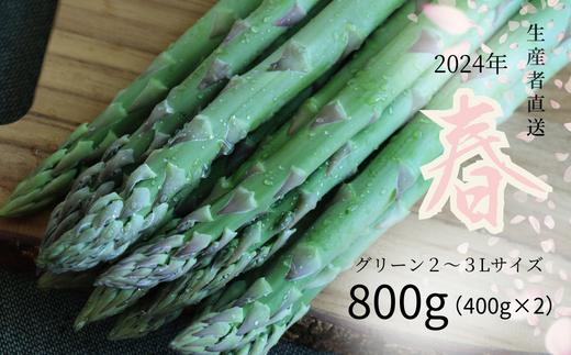 
【グリーン2～3Lサイズ】朝採りアスパラ800g（400g×2袋 鮮度保持袋入り）【北海道/赤井川村アスパラ研究会】
