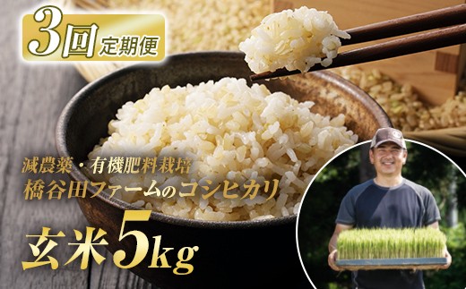 ＜定期便3ヶ月＞令和8年産米 減農薬・有機肥料栽培 西会津産米コシヒカリ 玄米 5kg 米 お米 おこめ ご飯 ごはん 福島県 西会津町  F4D-2489