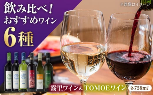 霧里ワイン＆TOMOEワイン おすすめ ６本セット ワイン 受賞 飲み比べ ワインセット ギフト 三次市/広島三次ワイナリー[APAZ036]