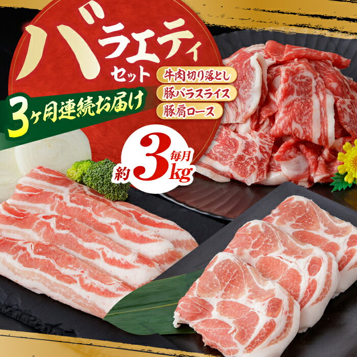 【ふるさと納税】【3回定期便】お肉の定期便 バラエティセット (3ヵ月) 総計約9kg 国産 牛肉 切り落とし 豚肉 バラ 肩ロース 【(有)山重食肉】[ATAP076]