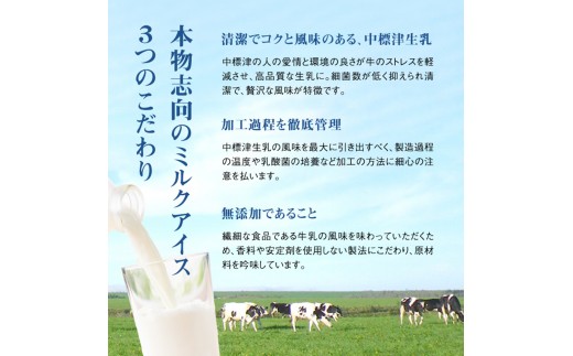 【定期便：全6回】【無添加】北海道 フローズンヨーグルト×12個