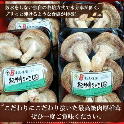 DM6003_最高級 肉厚椎茸 清流椎茸 1kg (200g×5パック)_イメージ5