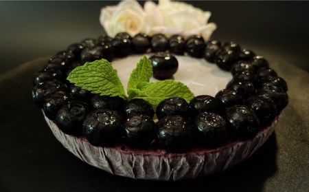 植物性100％ Vegan Raw Cake Blueberry（ブルーベリー／Lサイズ）☆お砂糖☆小麦粉☆乳製品不使用のスイーツ ヴィーガンローケーキ 吉野ヶ里町/Dondonyokunaru [F
