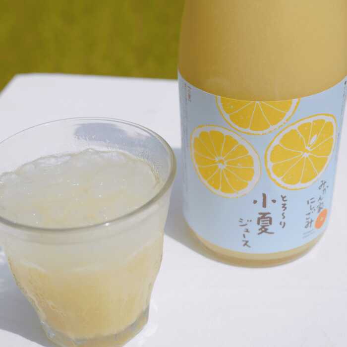 【ふるさと納税】【先行予約】みかん家にしごみ果汁100％ジュース土佐柑橘セレクト2本セット（土佐文旦・小夏各1本）〈2026年5月1日～2026年12月31日発送〉【株式会社にしごみ】[ATEA007]