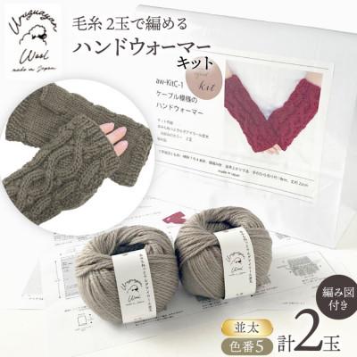 ふるさと納税 江南市 毛糸2玉で編めるケーブル模様のハンドウォーマーキット 5番色