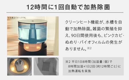 cado 加湿器 STEM 500H ステム クールグレー / 家電 国産 日本製 生活家電  [41ANAE002]