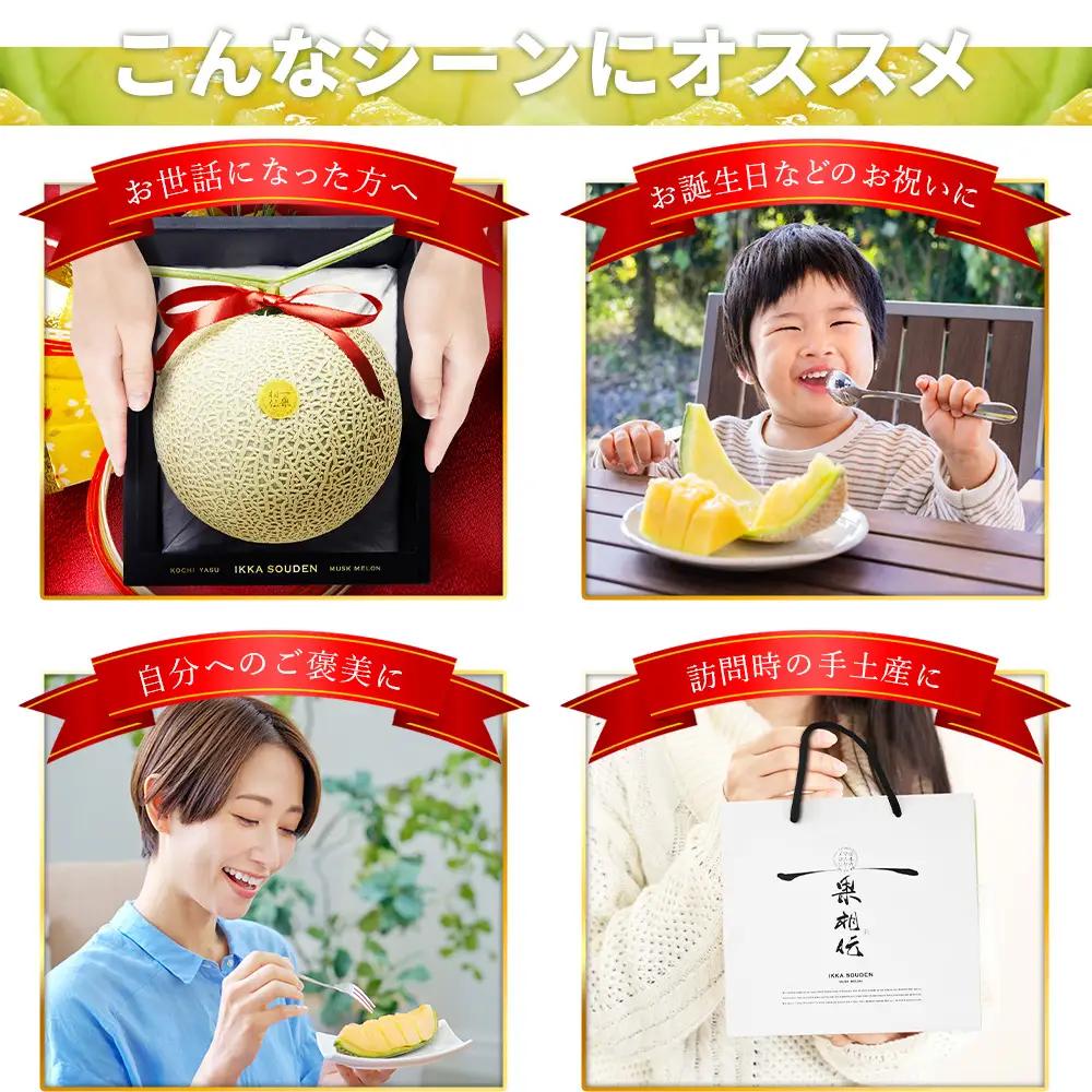 メロン 2玉入り【10月1日から7日以内に発送】 メロン tn-0065