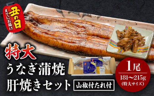 《丑の日までにお届け予定(7月1日～7月19日)》国産うなぎ蒲焼(特大サイズ)・肝焼きセット_M069-015_01-U1