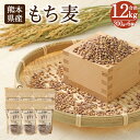 【ふるさと納税】もち麦 200g×6個 計1.2kg セット 麦 ダイシモチ 食物繊維 純国産 熊本県産 水俣市産 送料無料