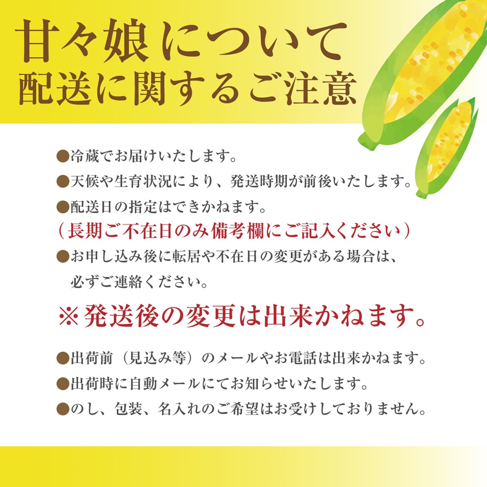 【先行予約】2024年６月上旬から発送！甘々娘　２Lサイズ１２本入り　岩下農園[5839-1989]