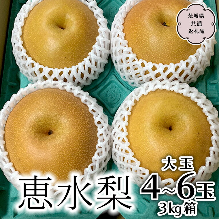 【ふるさと納税】《 先行予約 》 恵水梨 3kg箱 大玉4～6玉 (茨城県共通返礼品 城里町) 2025年9月中旬から発送開始 梨 なし 和梨 フルーツ 甘い オリジナル 大玉 直送 茨城 限定
