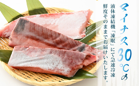 【先行予約】天然！地物！ひるがの寒ぶり 柵3本【合計800g以上】【2024年12月下旬以降順次発送】 [m36-b006]