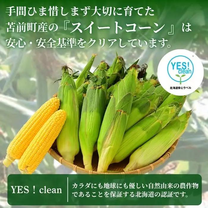 【2026年8月上旬から発送】北海道とままえ産 スイートコーン 2Lサイズ 7本 とうもろこし 北海道産 先行 予約 受付 甘い 旬 産地直送 野菜 冷蔵 北海道 苫前町 とままえ rum10