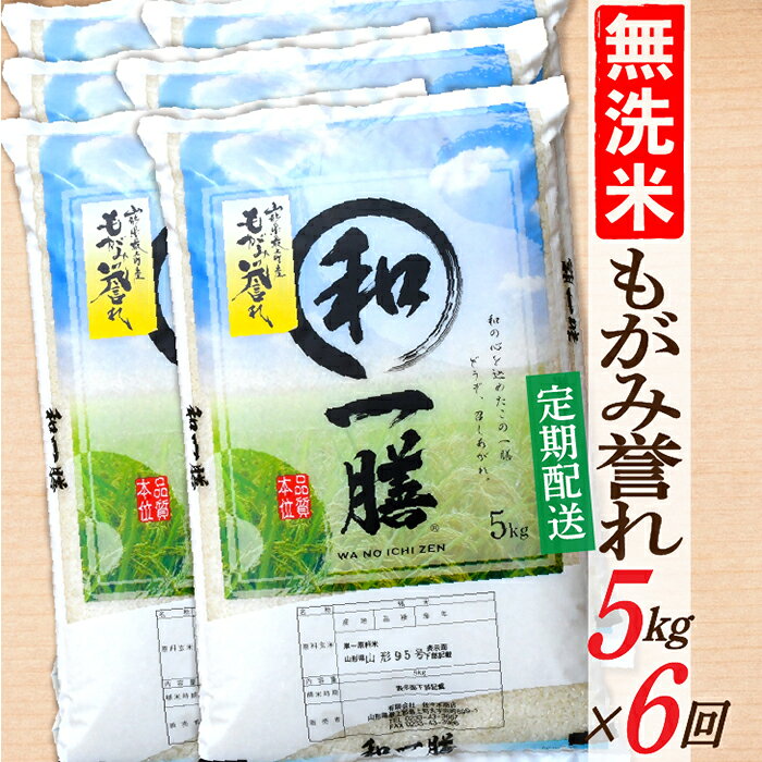 【ふるさと納税】【定期便】【無洗米】 令和8年産予約 もがみ誉れ 5kg (5kg×1) 6回配送　【初回R9年1月発送】