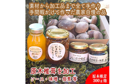 原木生椎茸と椎茸のソース&味噌&佃煮、椎茸の廃ホダを肥料に育ったみかんジャムのセット【家庭用 自宅用 贈答品 贈答用 ギフト お取り寄せ お中元 お歳暮 贈り物 お祝い 神奈川県 小田原市 しいたけ しいたけ しいたけ しいたけ しいたけ】