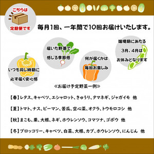 【発送月固定定期便】『身体が喜ぶ野菜』詰め合わせ(おまかせ10～12品)下旬発送全10回【配送不可地域：離島】【4053652】