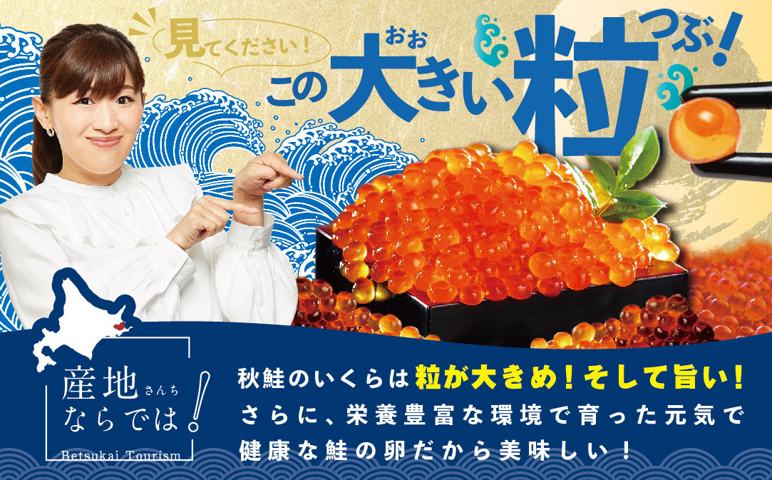 【 年8回 いくら 定期便 毎月 定期 】北海道 産 鮭 イクラ 500g ( 250g × 2パック ) 8回 産地直送 計 4kg