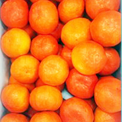 【ふるさと納税】 先行予約 みかん 約3kg 5kg 紅みかん 柑橘 ミカン 蜜柑 温州みかん オレンジ 果物 くだもの フルーツ ふるさと納税 甘い 糖度 人気 おすすめ デザート スイーツ アイス シャーベット ゼリー ふるさと納税みかん ふるさと納税柑橘 お取り寄せ 送料無料