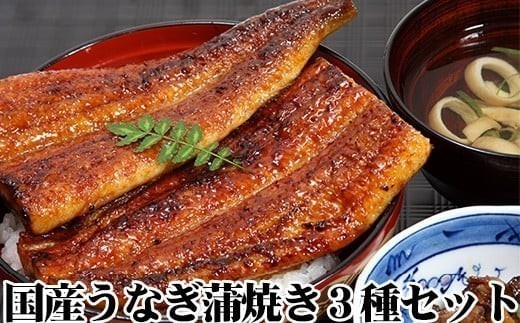 国産うなぎ蒲焼3種セット(A6-1)