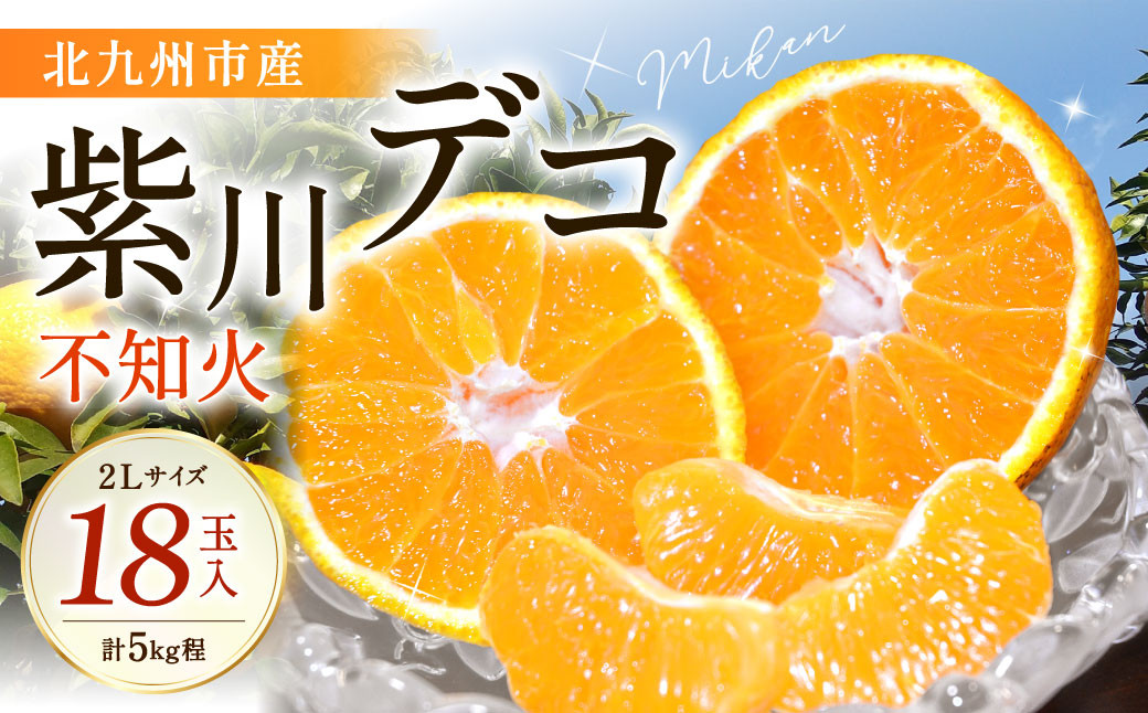 
紫川デコ(不知火) 2Lサイズ 18玉入 計5kg程 フルーツキャップ付き【2025年3月上旬～2025年4月上旬発送予定】
