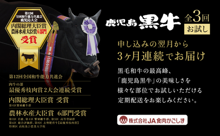 【JA食肉かごしま】鹿児島黒牛お試し定期便（全3回） 和牛日本一の「鹿児島黒牛」 お肉 ステーキ すき焼き しゃぶしゃぶ 国産 黒毛和牛 和牛 牛肉 冷凍 定期便 JA食肉かごしま 南さつま市