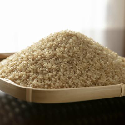 ふるさと納税 酒田市 ひとめぼれ 玄米 5kg |  | 03