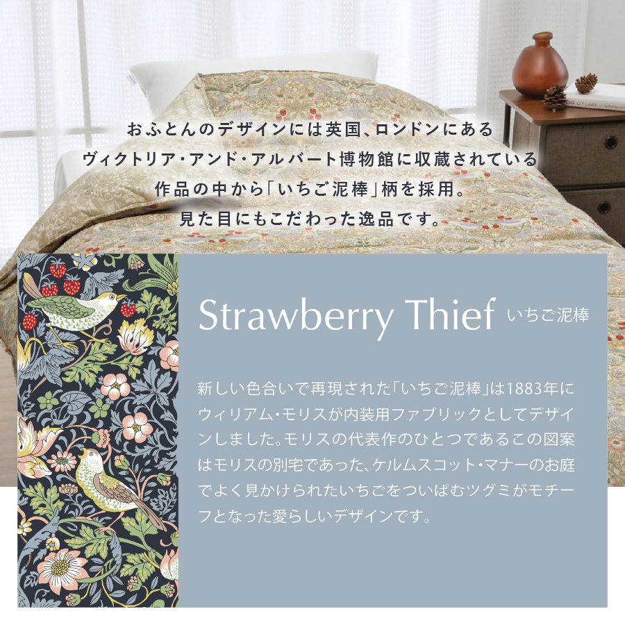 【老舗寝具メーカーロマンス小杉監修】羽毛と絹（シルク）を合わせた究極の掛けふとん シングルサイズ (ベージュ)