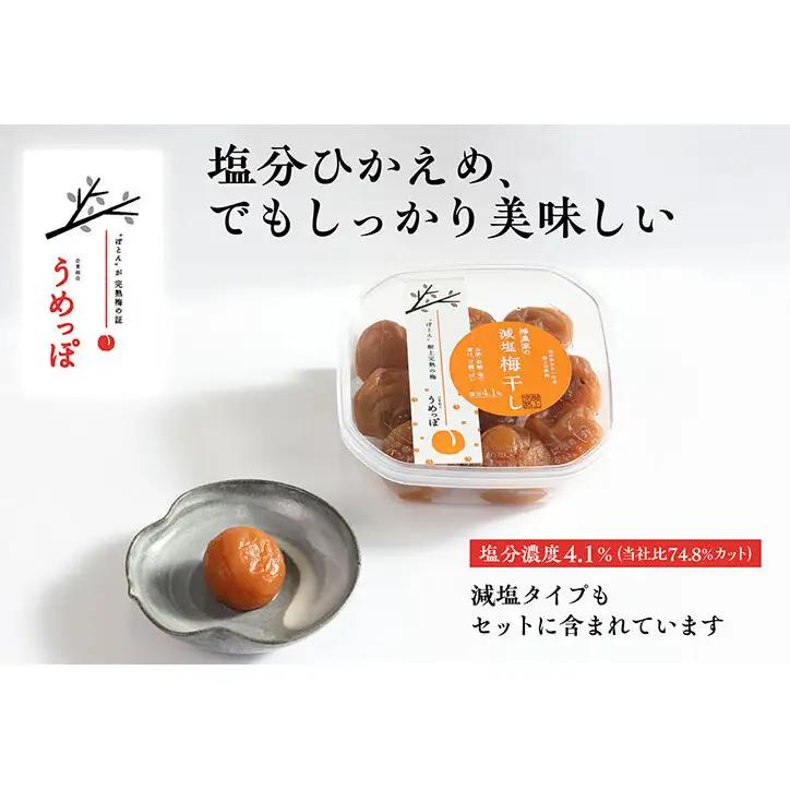 おおい町産の希少品種の完熟梅　昔ながらの梅干　いろいろセット 紅映梅 希少品種 樹上完熟 昔ながら 梅農家が作った 手作り 福井梅 梅 梅干 梅干し うめぼし 完熟 食べ比べ セット 福井県 おおい町