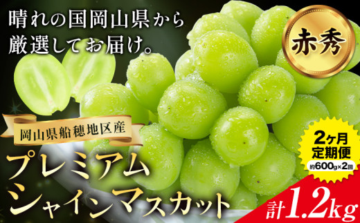 ぶどう プレミアム シャインマスカット定期便 9月 10月発送 船穂 赤秀品 晴王 計1.2kg(約600g×2回お届け)《2025年9月中旬-10月末頃より出荷予定(土日祝除く)》ハレノスイーツ 岡山中央卸売市場店 マスカット 岡山県 浅口市 フルーツ 果物 【配送不可地域あり】