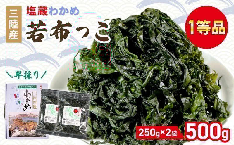 
            早採り 塩蔵わかめ 若布っこ 250g×2袋 海鮮 海藻 わかめ ワカメ 魚貝類 魚介類 みそ汁 スープ 酢の物 小分け 贈答品 贈答用 三陸産 岩手県 大船渡市
          