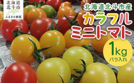 
            北海道北斗市産カラフルミニトマト（2025年6月以降発送） 【 ふるさと納税 人気 おすすめ ランキング トマト とまと カラフル ミニトマト 野菜 やさい 国産 北海道産 甘い 北海道 北斗市 送料無料 】HOKAU002
          
