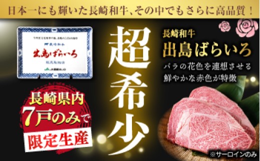 【6回定期便】ヒレ・サーロイン ステーキ2種食べ比べセット 長崎和牛