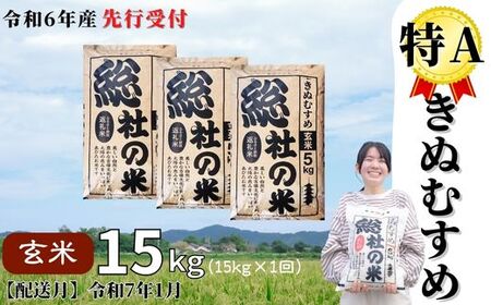 【令和6年産米】特Aきぬむすめ【玄米】15kg 岡山県総社市産〔令和7年1月配送〕24-015-017