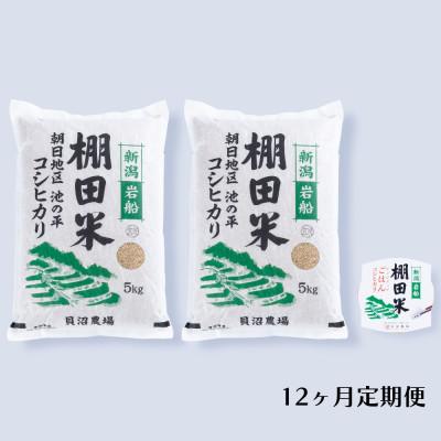ふるさと納税 村上市 【毎月定期便】棚田米コシヒカリ(玄米) 10kg+パックごはん 1個 [128]全12回
