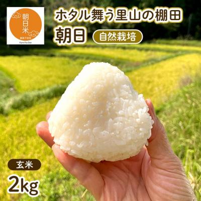 ふるさと納税 赤磐市 令和7年産 自然栽培 朝日 玄米2kg 農薬 化学肥料不使用[NO5765-1424]
