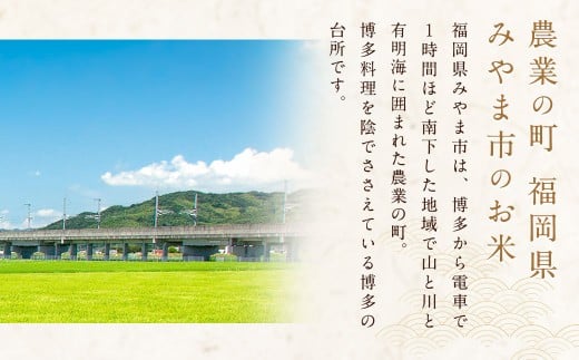 B15 福岡県産 白米 20kg（10kg×2袋） 銀座の料亭ご愛用のお米_イメージ4