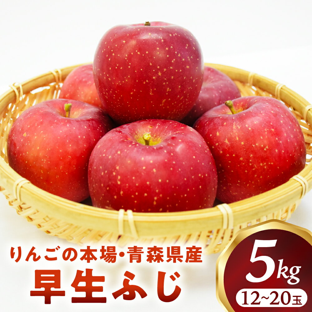 【ふるさと納税】青森りんご【早生ふじ】約5kg（12～20玉）【2025年産・先行予約】★2025年9月下旬～10月下旬頃まで発送予定★りんご 林檎 フルーツ 果物 果実 青森 青森県 青森県産 三戸 三戸町 高級 贈答 ギフト プレゼント 産地直送 農家直送 ふるさと 送料無料