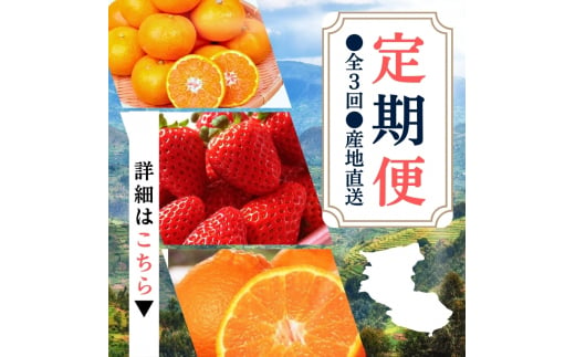 【定期便】●全3回● 産地直送 定期便【温州みかん・まりひめ・紀州デコ】 / フルーツ 果物 みかん いちご  旬 定期便  