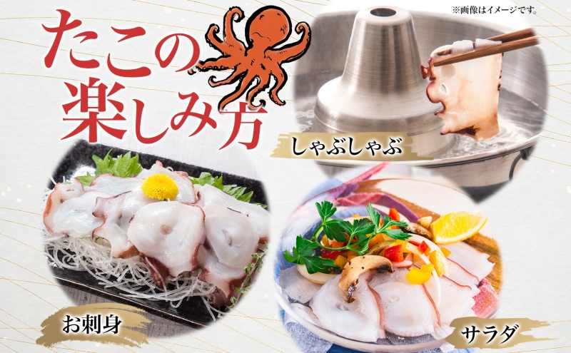 タコ しゃぶしゃぶ 厚切り 弾力 だし 小分け 石崎水産 150g×12 1800g パック 蛸 スライス たこしゃぶ お刺身 酢 昆布 だし さっぱり つまみ 北海道 日高町