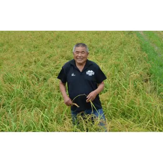 《 令和7年産 》黒米・塩米（コシヒカリ）約10kg ／ お米 米 精米 白米 コシヒカリ こしひかり 10kg 令和7年 千葉県