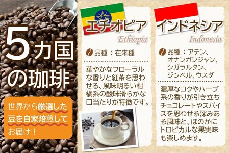 115-08 五稜珈琲100g×5ヶ国セット