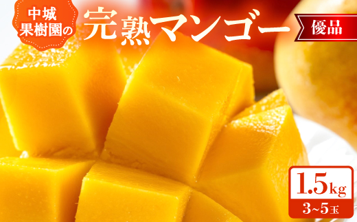 【2026年7月から順次発送・化粧箱】中城果樹園の完熟マンゴー 優品1.5kg(3～5玉)【配送不可地域：離島】