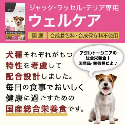 ふるさと納税 都城市 ドッグフード(ジャック・ラッセル・テリア専用)アダルト〜シニア2.7kg |  | 01